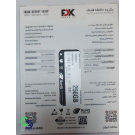 اس اس دی اف دی کی ظرفیت- SSD FDK B5 256GB